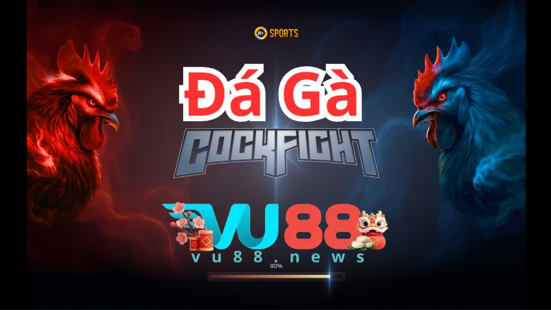Khám phá sảnh đá gà VU88